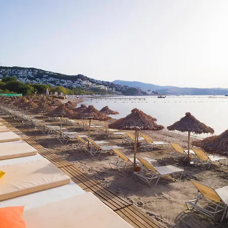 Hotel Cocos The Club Ortakent