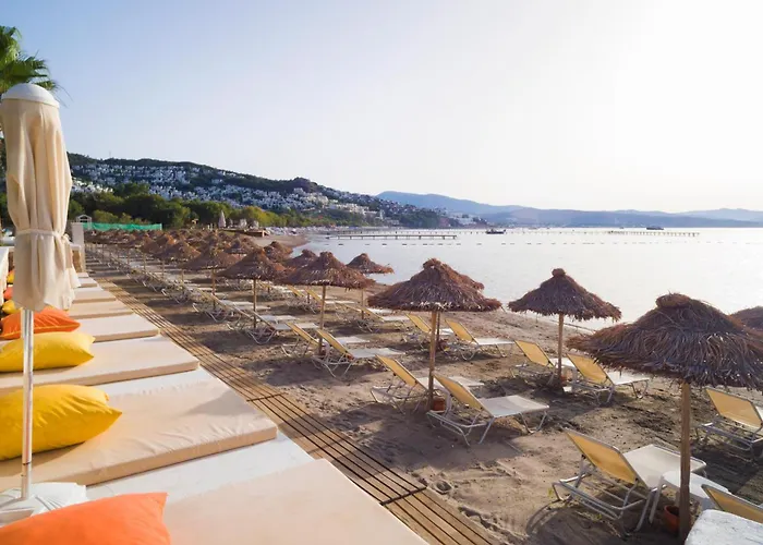 Hotel Cocos The Club Ortakent