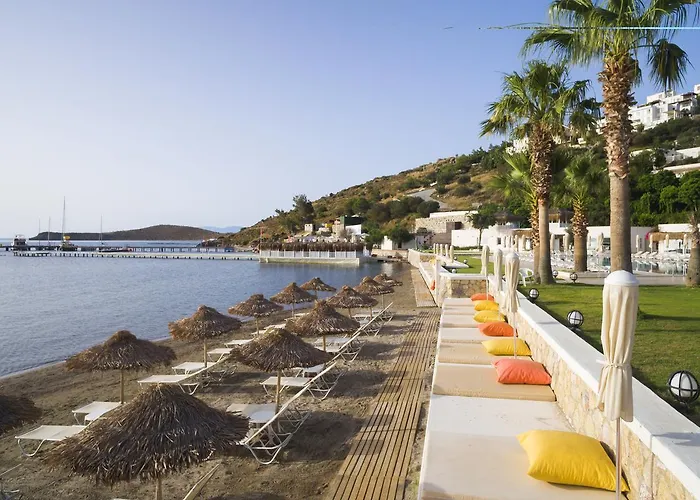 Hotel Cocos The Club