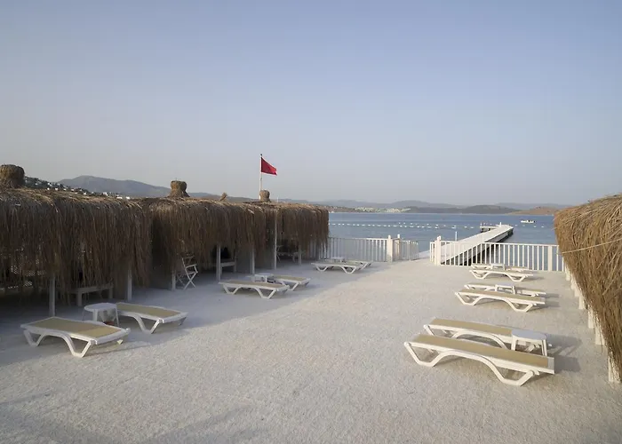 Hotel Cocos The Club