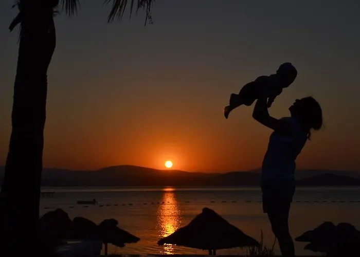 Hotel Cocos The Club