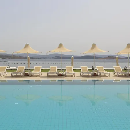 Cocos The Club 4* Ortakent