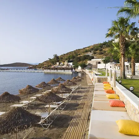 Hotel Cocos The Club