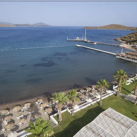 Cocos The Club 호텔