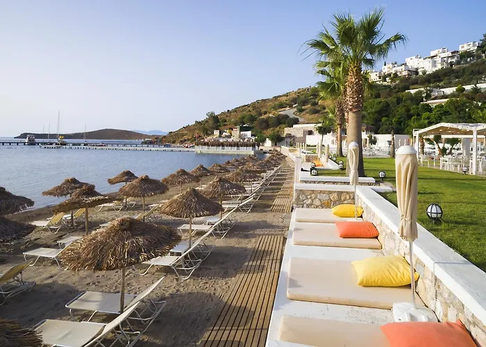 Cocos The Club Otel Ortakent