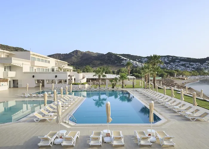 Cocos The Club Otel 4*